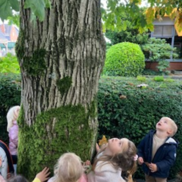 herfst in de peuterklas herfst beleven met al je zintuigen
